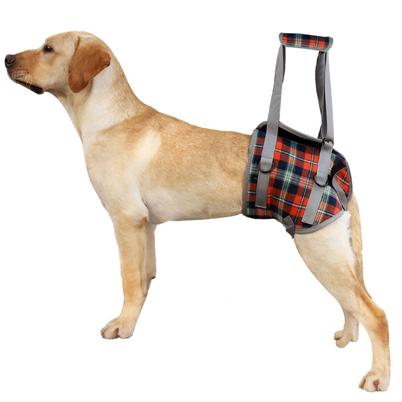 Rear-Support Mobility Harness for Senior Dogs