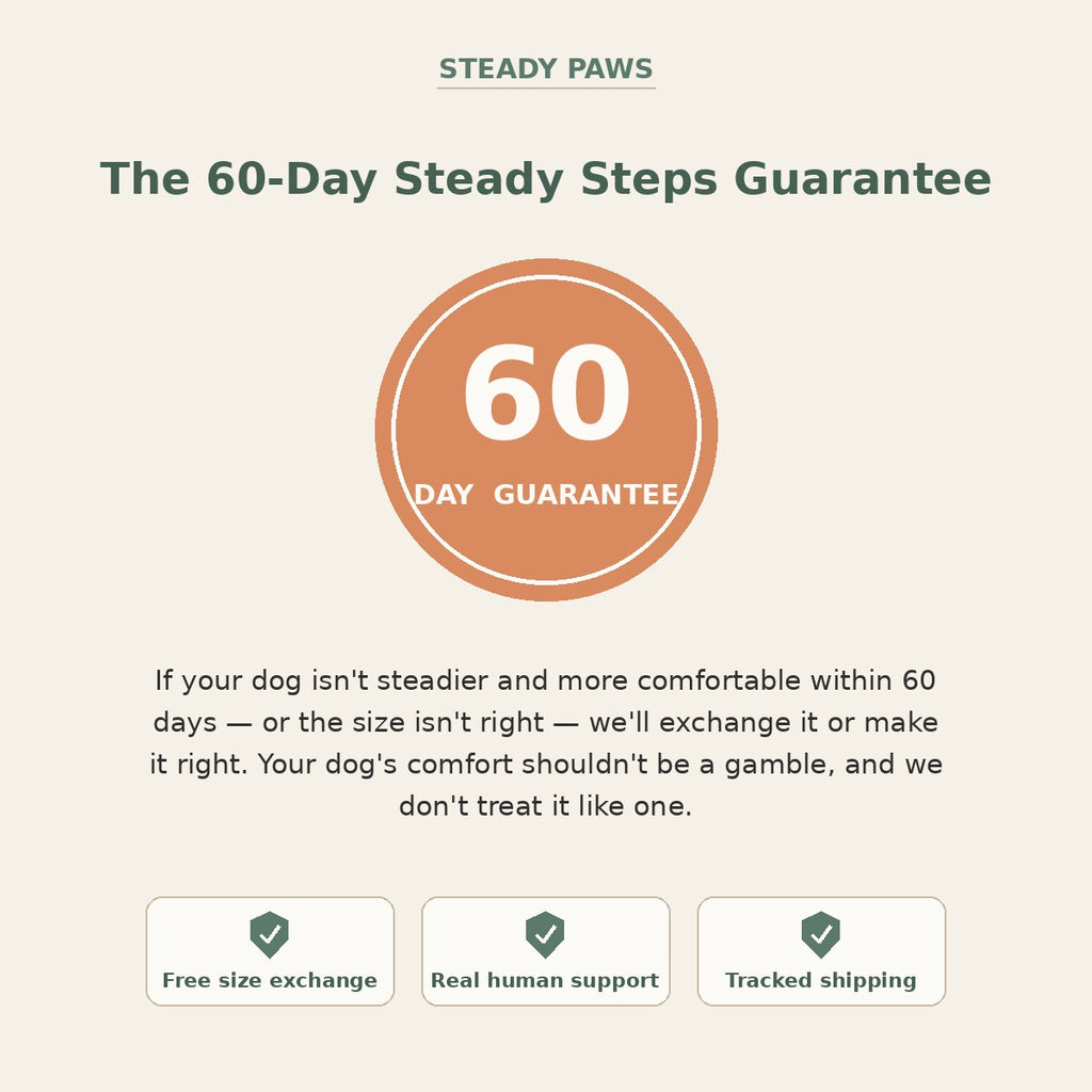 Promotional graphic for Steady Paws offering a 60-day steady steps guarantee for dogs. The design features a central orange circle with '60 DAY GUARANTEE' in white, flanked by three white boxes at the bottom highlighting key selling points: 'Free size exchange', 'Real human support', and 'Tracked shipping'.