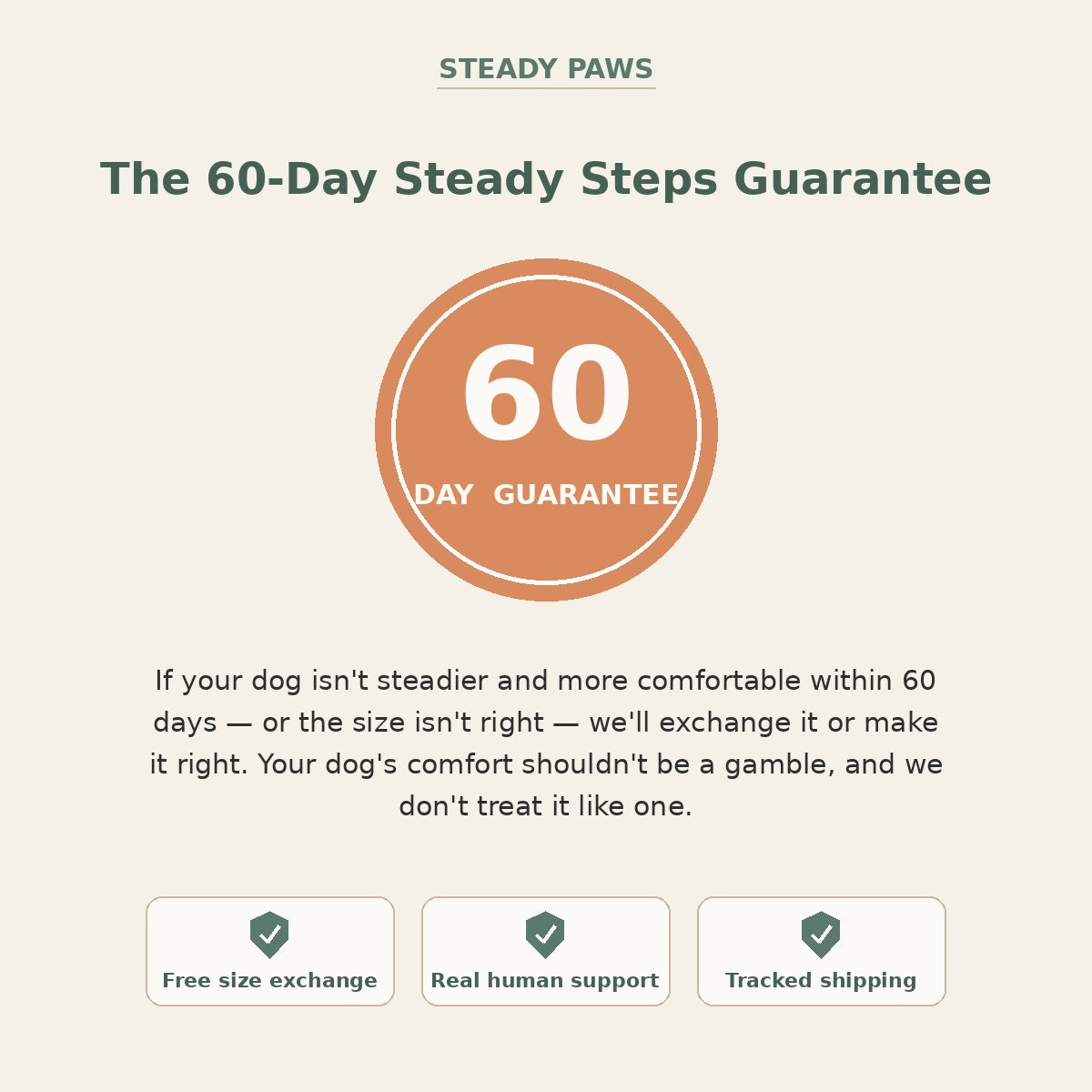 Promotional graphic for Steady Paws offering a 60-day steady steps guarantee for dogs. The design features a central orange circle with '60 DAY GUARANTEE' in white, flanked by three white boxes at the bottom highlighting key selling points: 'Free size exchange', 'Real human support', and 'Tracked shipping'.