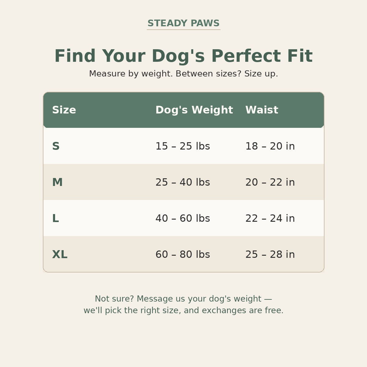 Rear-Support Mobility Harness for Senior Dogs